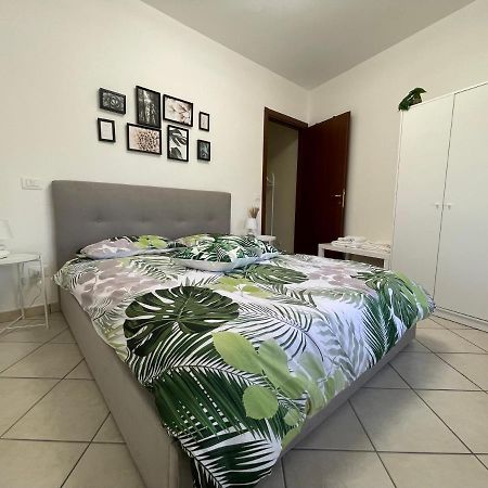 Castelli Home Albano Laziale Esterno foto